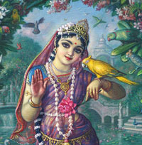 Tulasi A Amada de Krishna